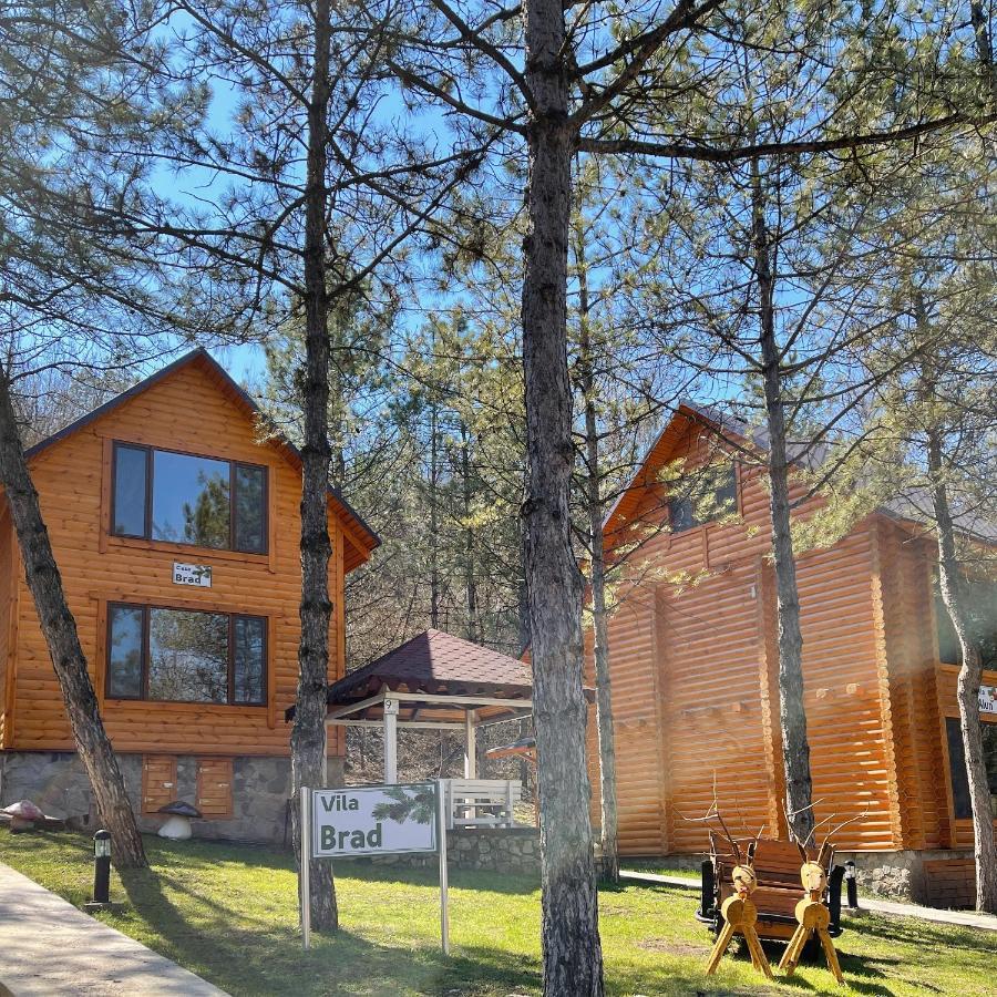 Sky Land Camping & Resort Cricova Exteriér fotografie
