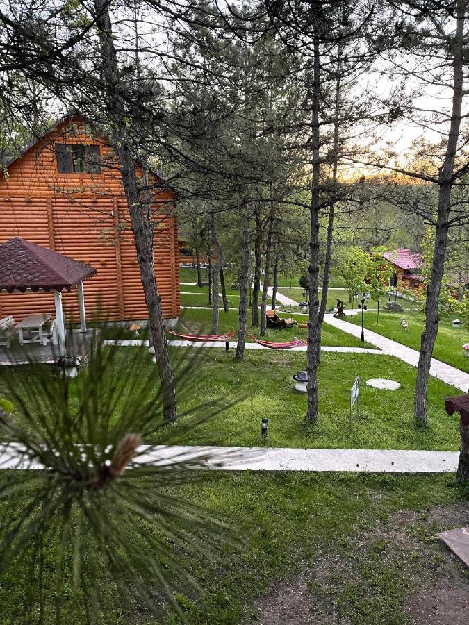 Sky Land Camping & Resort Cricova Exteriér fotografie